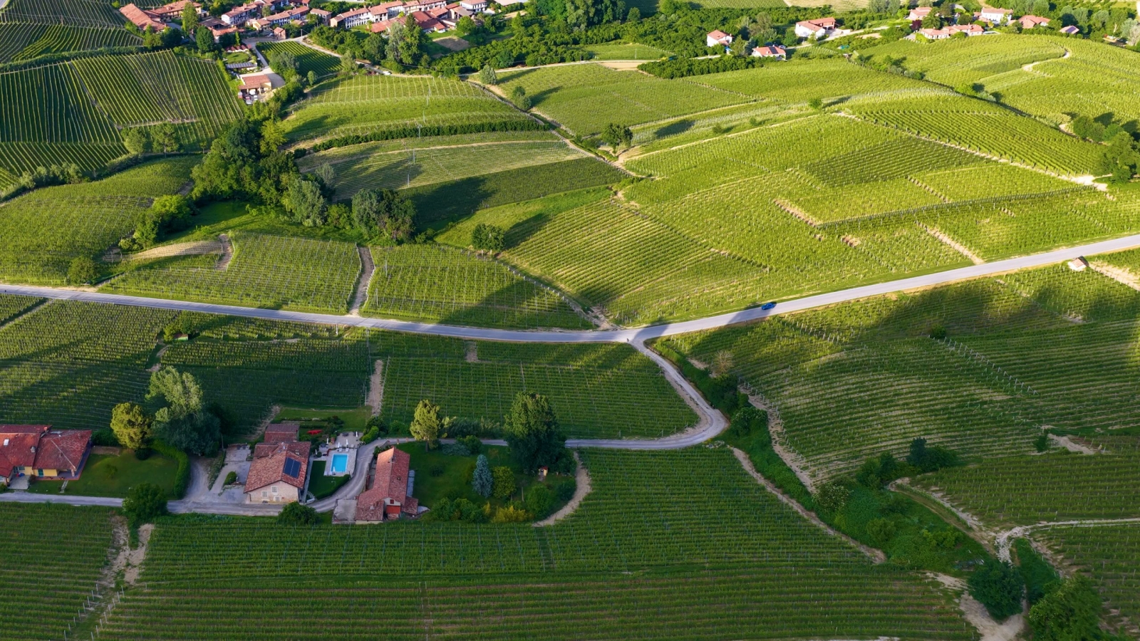 aerial-view-rolling-green-vineyards-countryside-village-italy